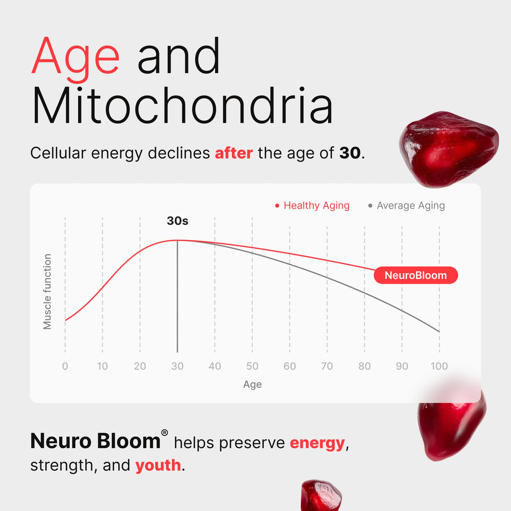 Brand crest on label reinforcing premium science-backed mitochondrial support.
