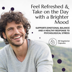 Neurobiologix Neuro Calm Rebalance ingredients panel highlighting L-Theanine and magnesium