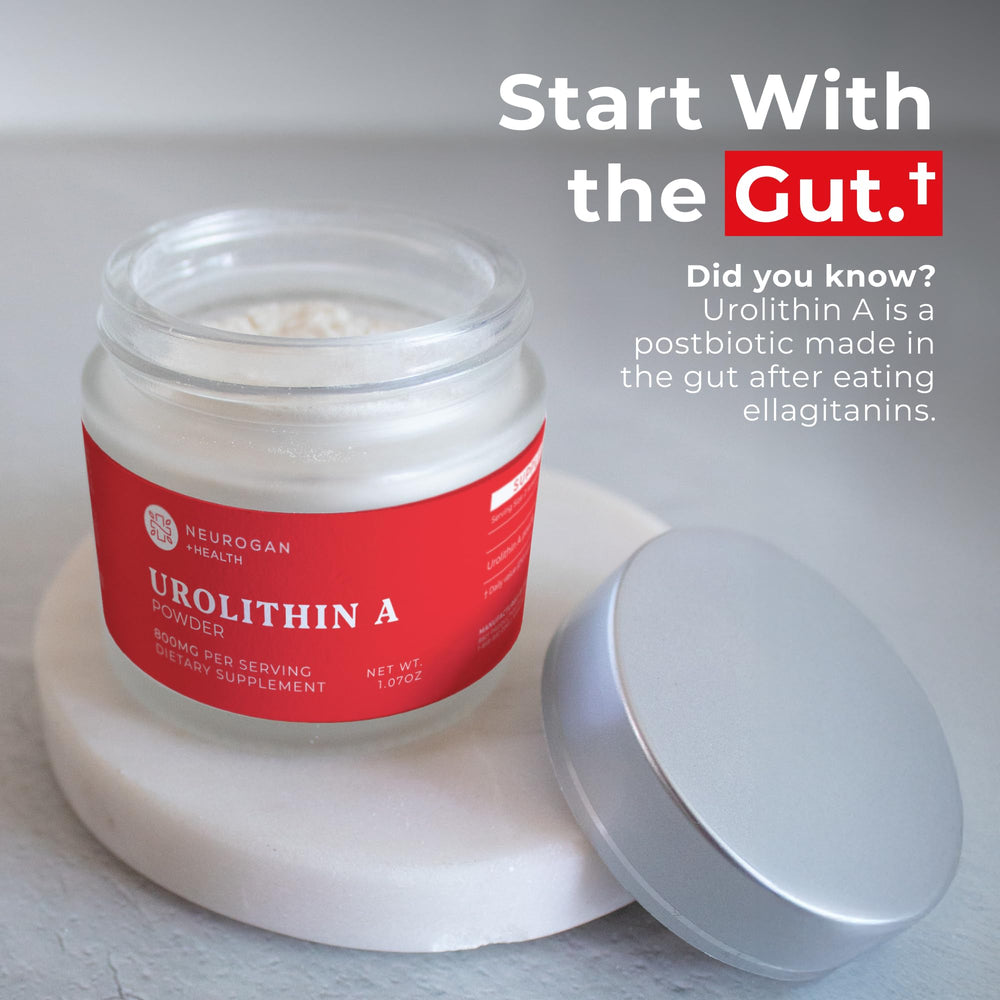 Neurogan Urolithin A Powder close-up demonstrates easy solubility and neutral taste.