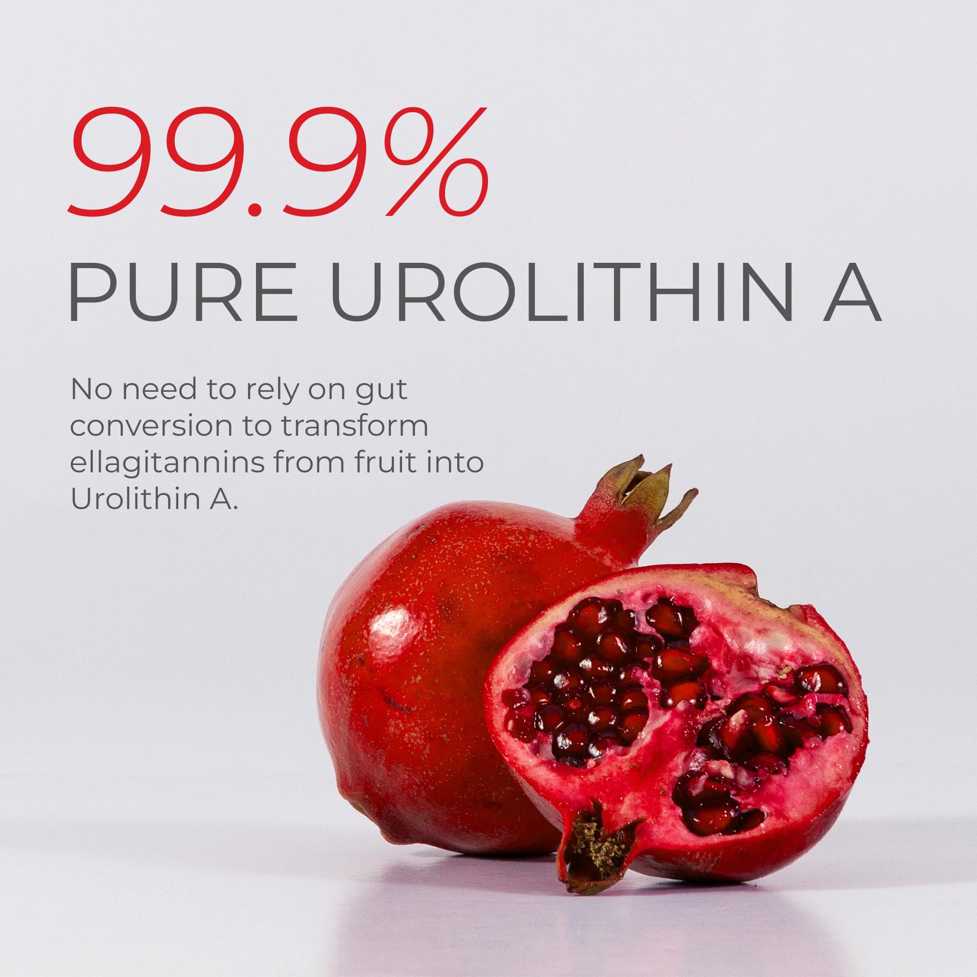 Third-party testing seal on Neurogan Urolithin A Powder reassures potency and purity.