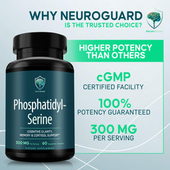 NeuroGuard study-desk scene for improved concentration during learning