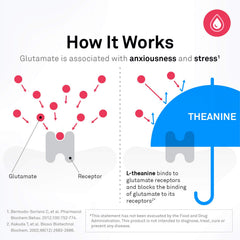 NeuroScience TravaCor information card emphasizes professional grade quality.