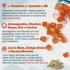 NEVISS Brain Focus Gummies pour shot highlighting quick consumption for sustained alertness.