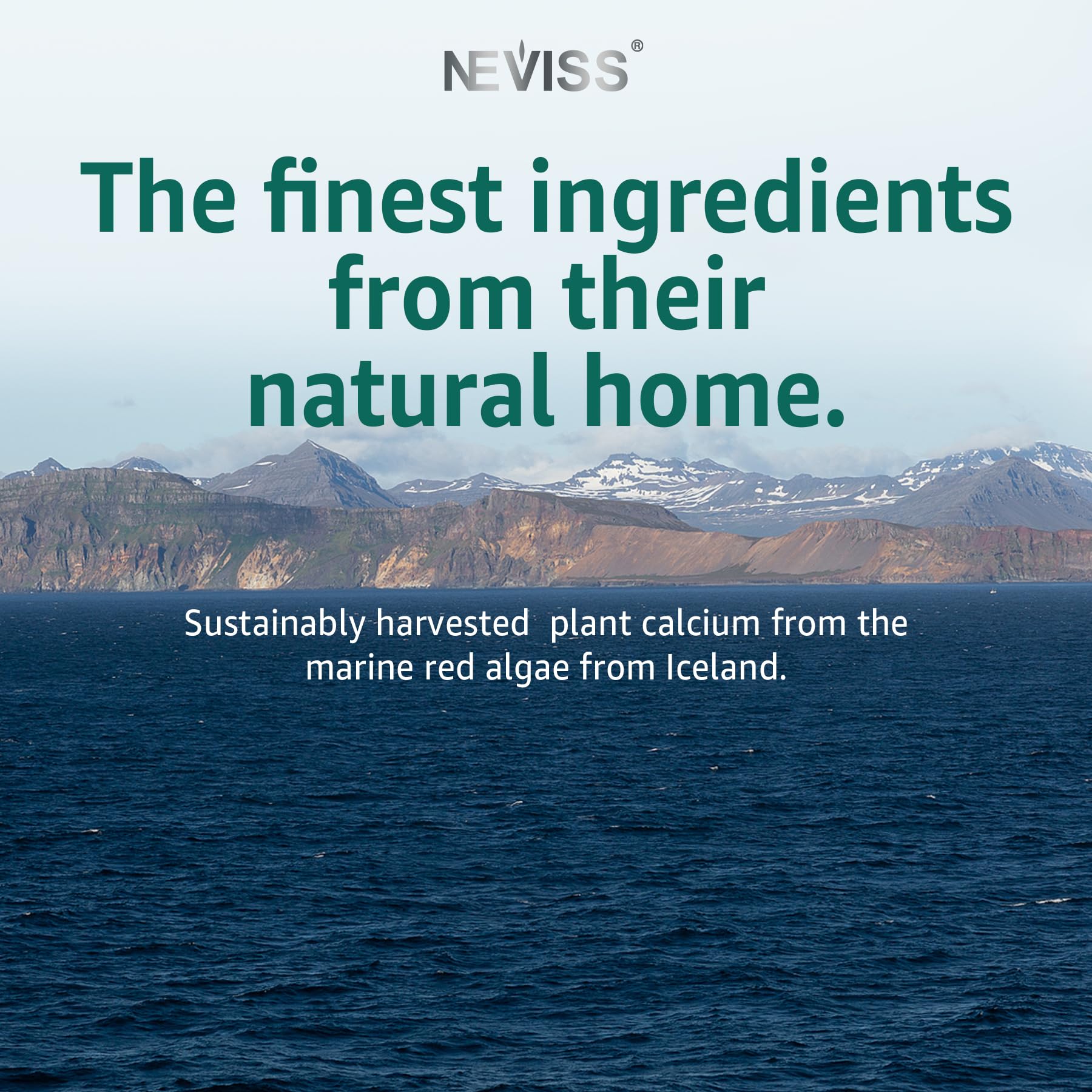 NEVISS calcium gummies natural ingredients illustration highlights plant-based nutrition.