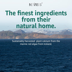 NEVISS calcium gummies natural ingredients illustration highlights plant-based nutrition.