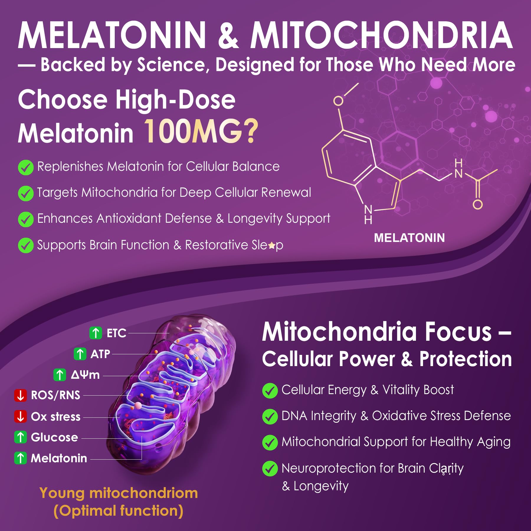 Liposomal delivery matrix of NEVISS Melatonin highlighting enhanced absorption