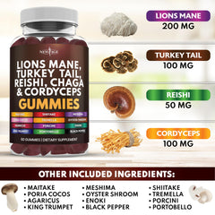 NEW AGE mushroom turkey tail gummies closeup emphasizes diverse mushrooms for overall wellness