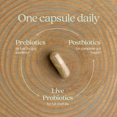 New Chapter All-Flora bottle label shows 10B CFU and postbiotic blend.