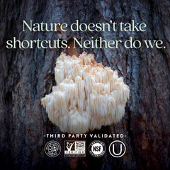 DNA-tested mushroom ingredients label ensuring product quality and transparency
