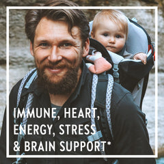 New Chapter Every Man ingredients list with probiotics and herbs