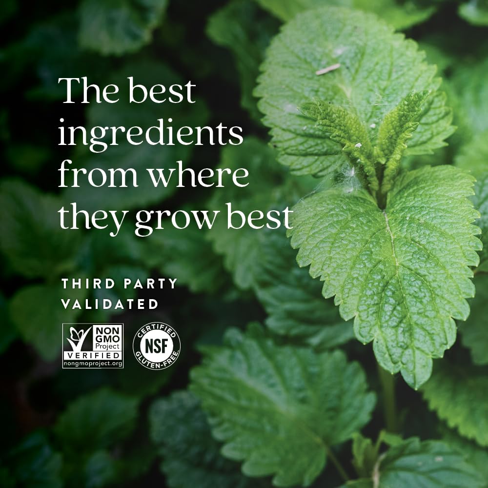 New Chapter Lemon Balm Force packaging features eco-friendly design with clear ingredient list.