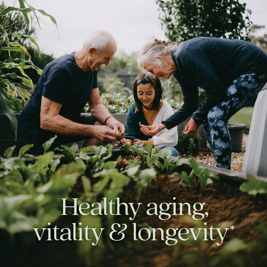 New Chapter LifeShield Reishi capsules designed for simple daily wellness routines.