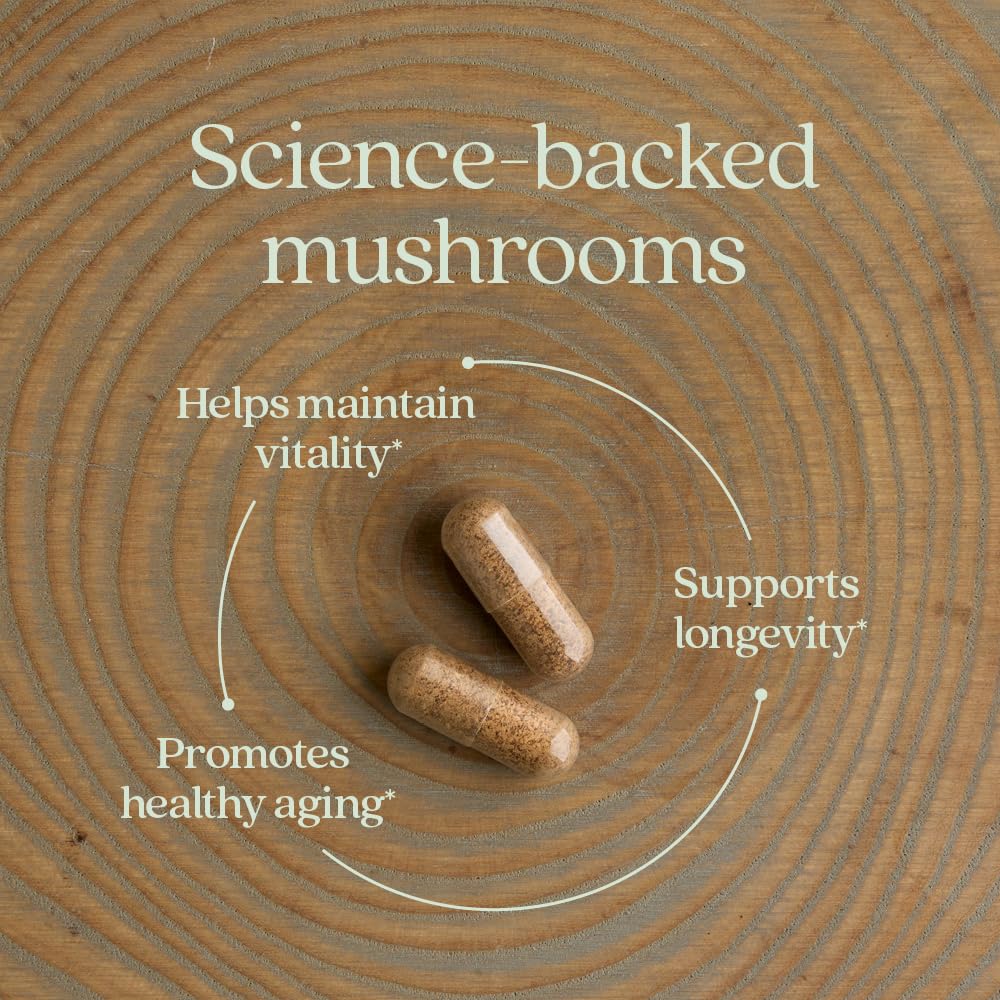Lingzhi organic mushroom close-up emphasizes premium, full-spectrum ingredients.