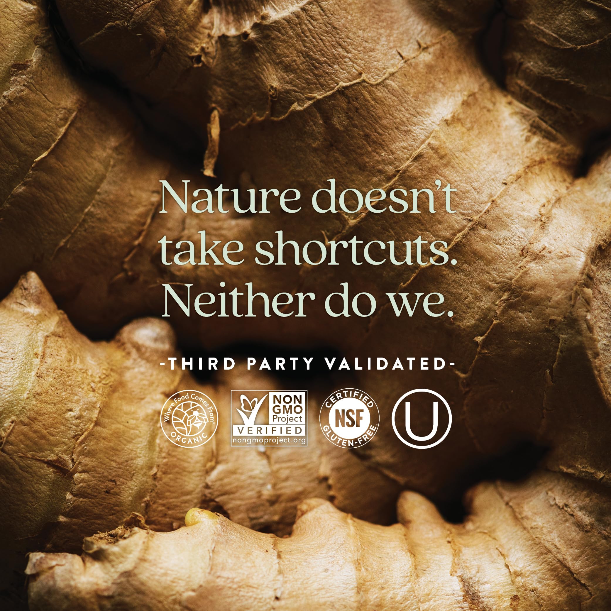 Fermented nutrients visual emphasizing whole-food fermentation in New Chapter