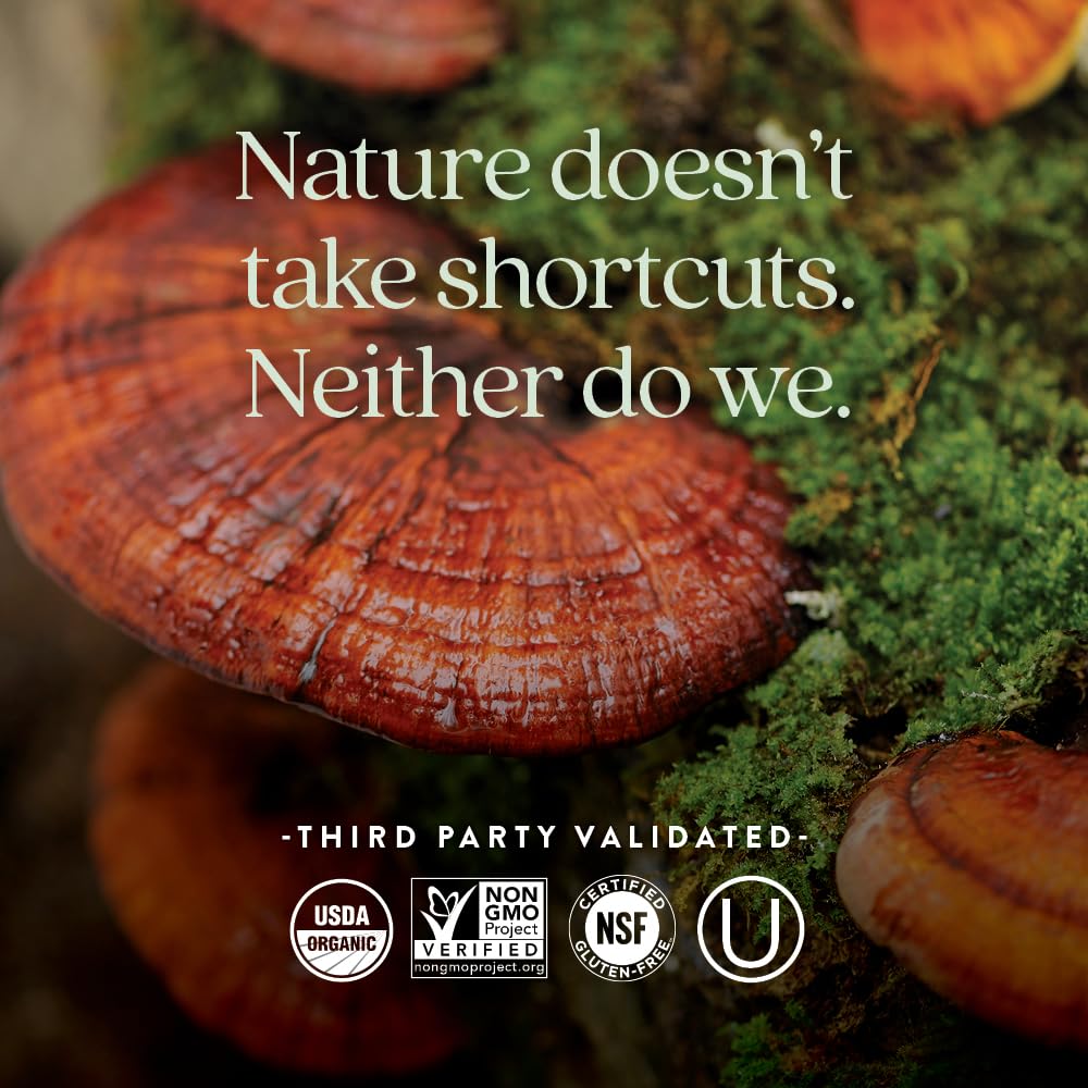 New Chapter organic certified, non-GMO vitamins for clean daily nutrition.