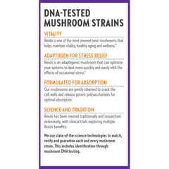 Full-spectrum Reishi imagery hints at traditional preparation and wellness possibilities.