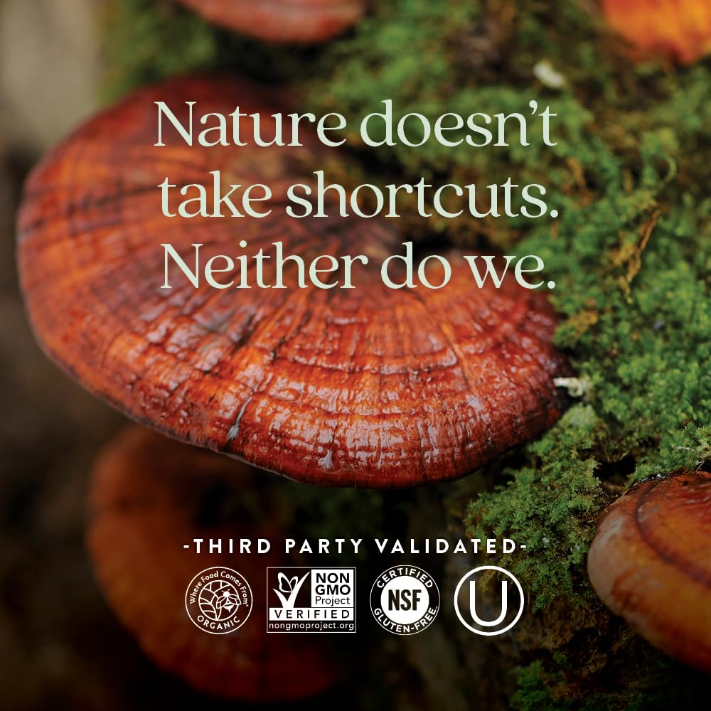 New Chapter Reishi box notes USA-grown organic, vegan formula for clean sourcing.