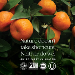 New Chapter Tiny Tabs label details highlighting organic vegetables and no artificial flavors.