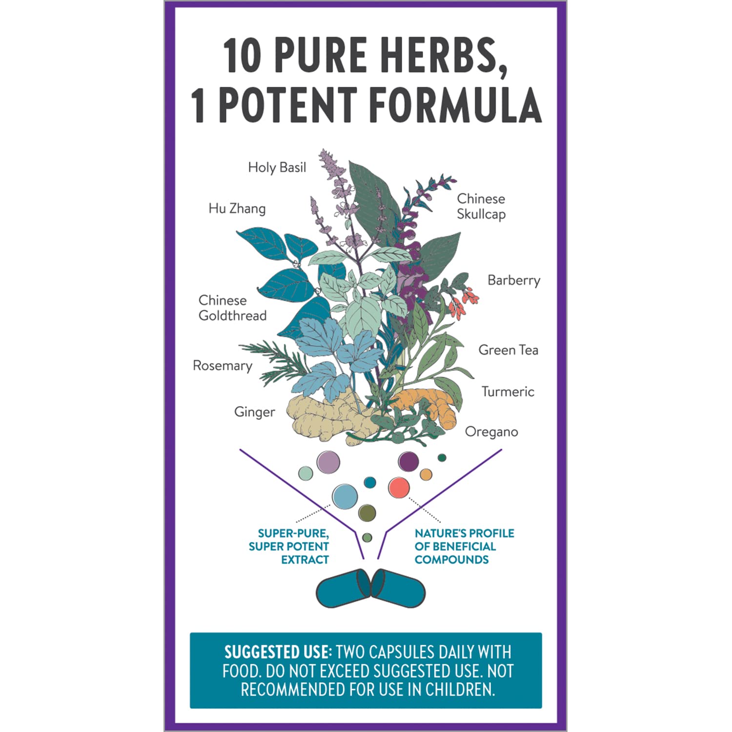 New Chapter Zyflamend herbal blend closeup shows ten herbs.