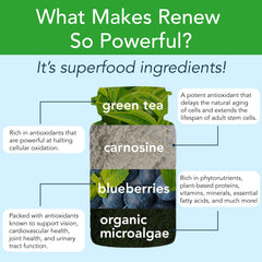 New Earth Renew green tea polyphenols help combat oxidative stress