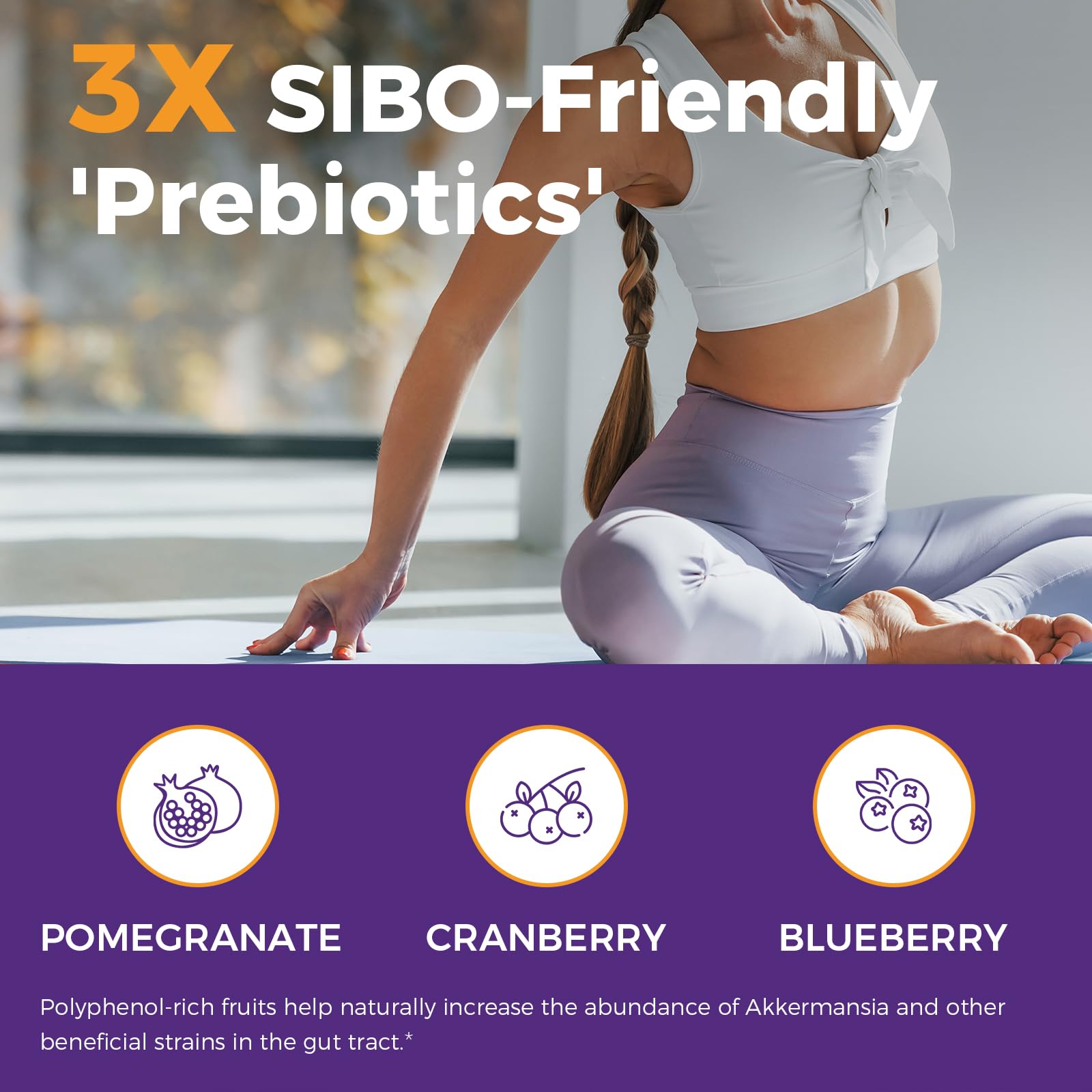NewRhythm gut-lining support concept featuring polyphenols and probiotics.