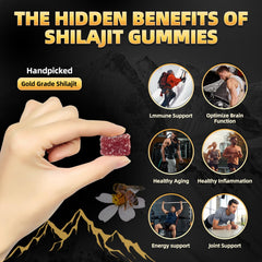 Newrish Shilajit Gummies individually wrapped for travel or gym use