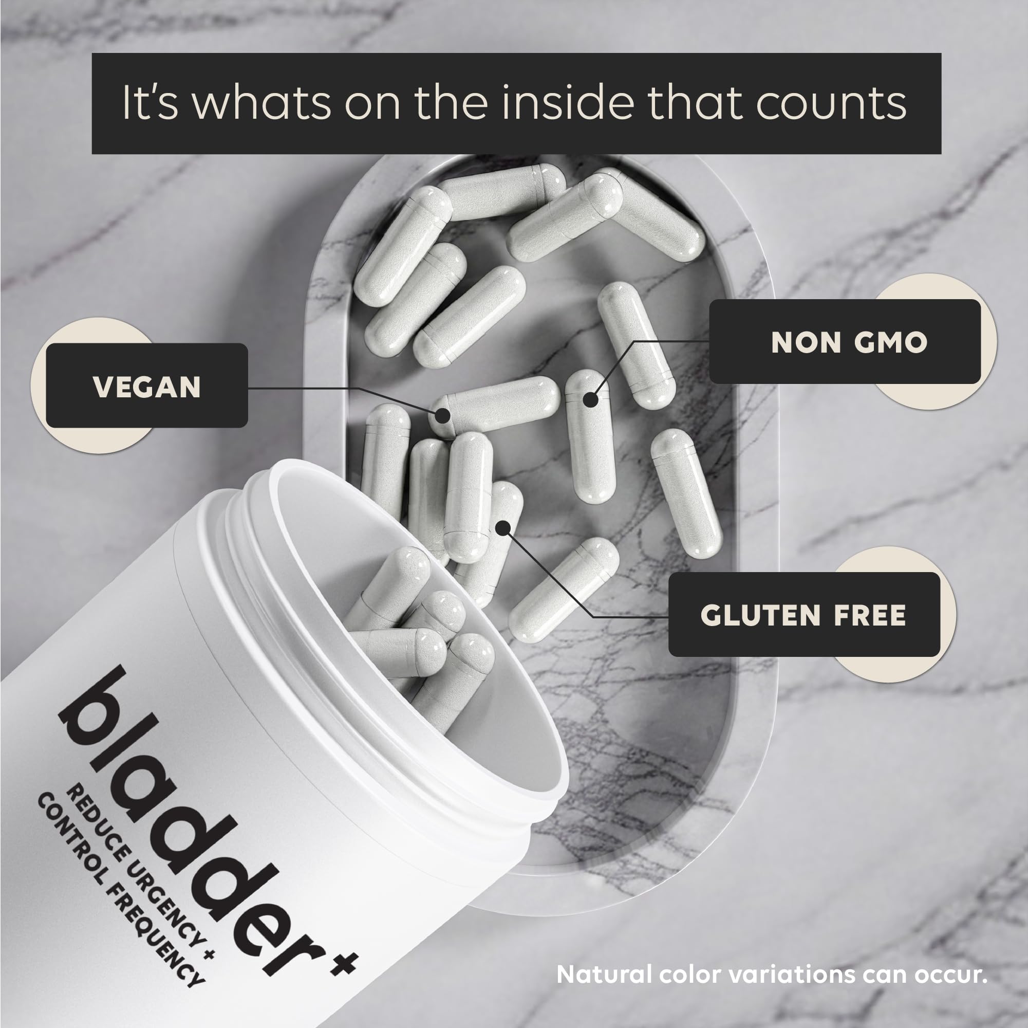 Newt Bladder Plus urinary health illustration suggesting proactive care.