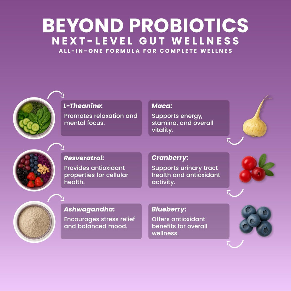 Next-Microbiome Boost Synergy antioxidant botanicals array signals resilience and vitality