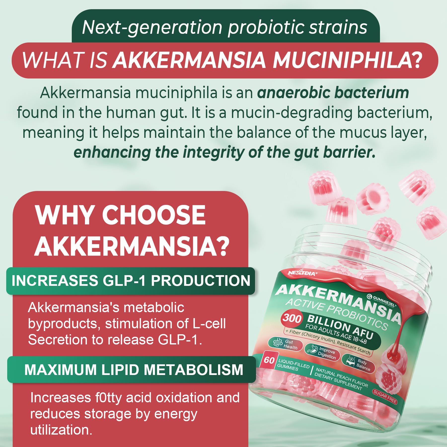 Soft peach-flavored texture of Nextdia Akkermansia Gummies without sugar