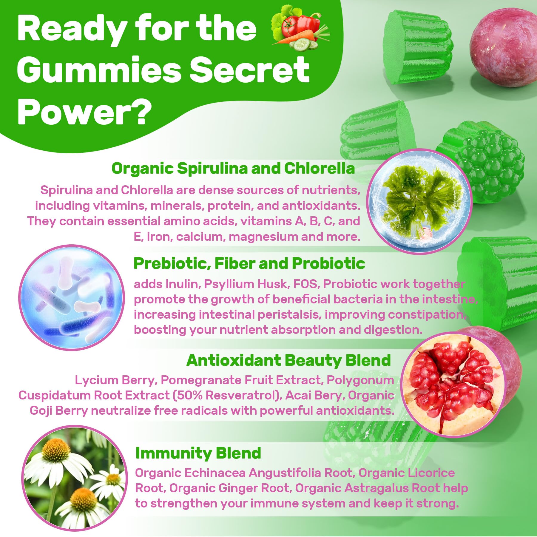 Nextdia Super Greens ingredients with spirulina and chlorella imply nutrient density.
