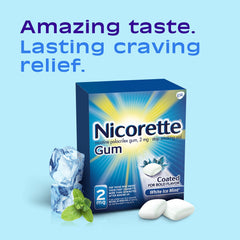 Nicorette 2 mg nicotine gum White Ice Mint pack back showing full 160-count box.