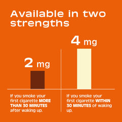 Nicorette Cinnamon Surge packaging close-up emphasizes design and flavor.