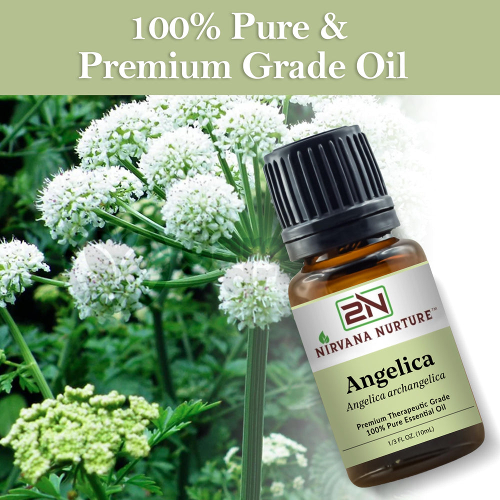 Nirvana Nurture Angelica Oil in skincare routine setup
