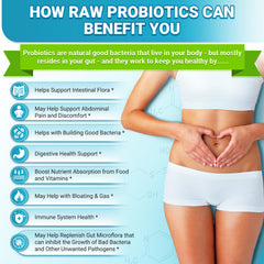 Niuloer Akkermansia probiotic packaging highlighting formulation for digestive wellness.