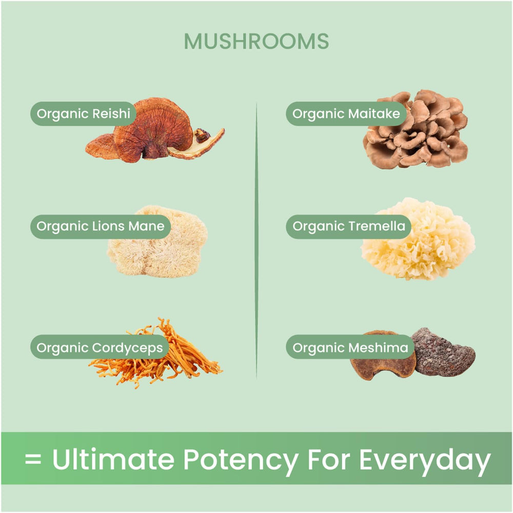 Non Fungible Mushrooms Life powder in tea or smoothie for sustained energy