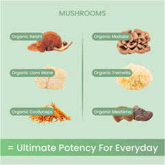 Non Fungible Mushrooms Life powder in tea or smoothie for sustained energy