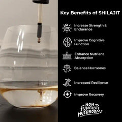 Daily ritual with Non Fungible Mushrooms Shilajit for stamina.