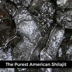 Non Fungible Mushrooms Shilajit bottle shown beside morning routine.