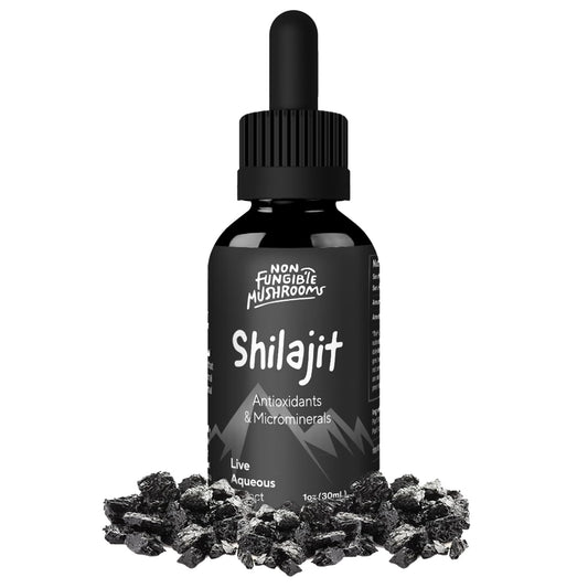 Non Fungible Mushrooms Shilajit tincture bottle for everyday vitality.