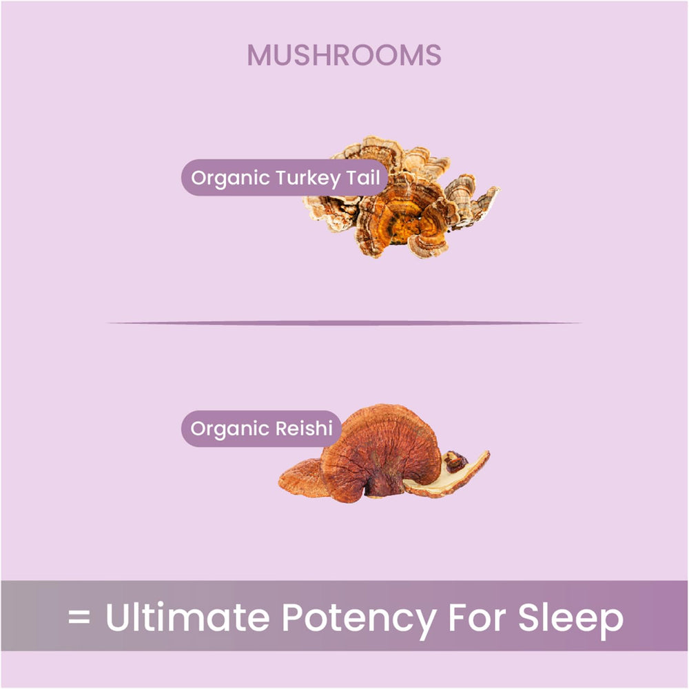 Non Fungible Mushrooms Sleep being stirred into tea for a relaxing bedtime ritual.