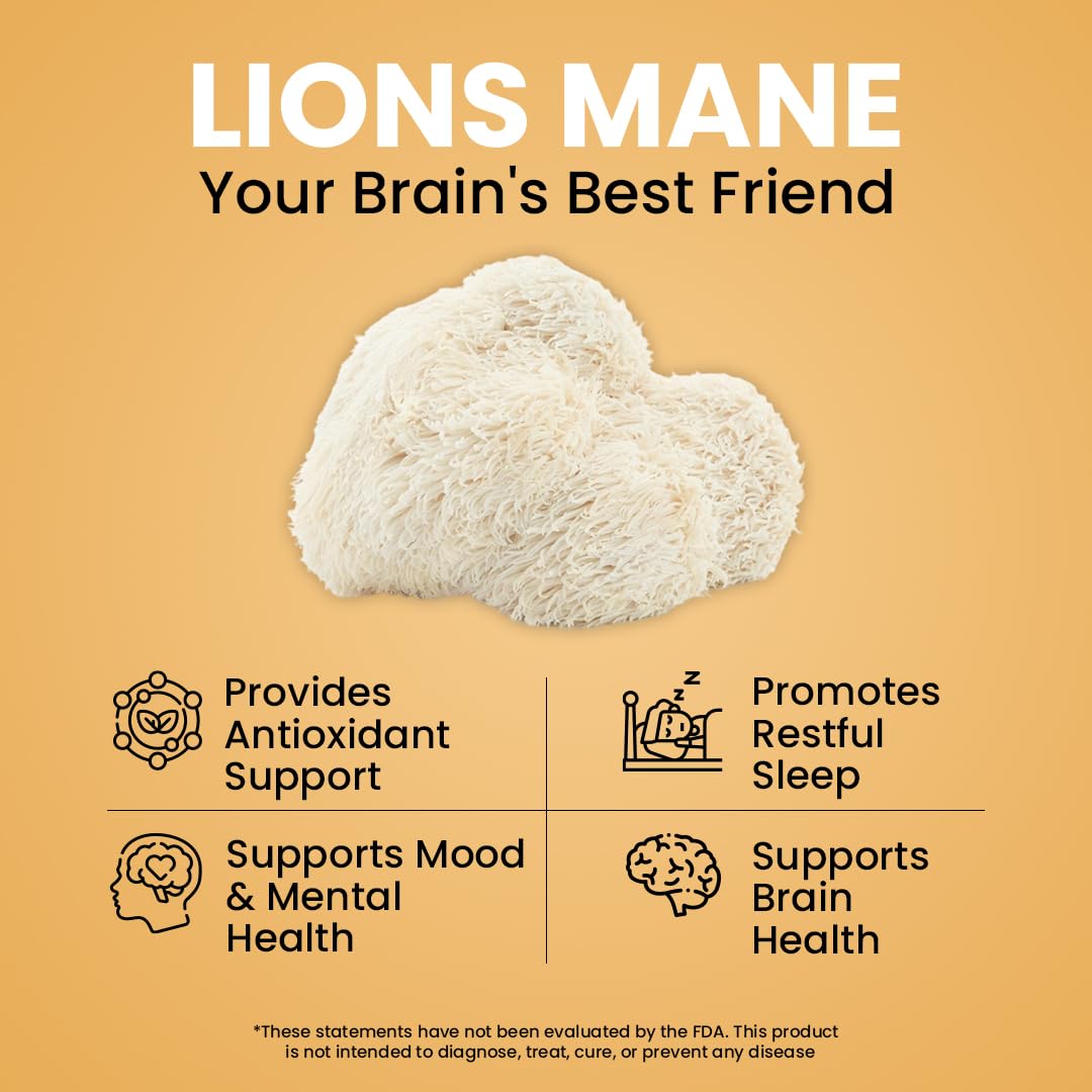 NooMost Lions Mane ingredients view emphasizing purity and polyphenol-rich extract.