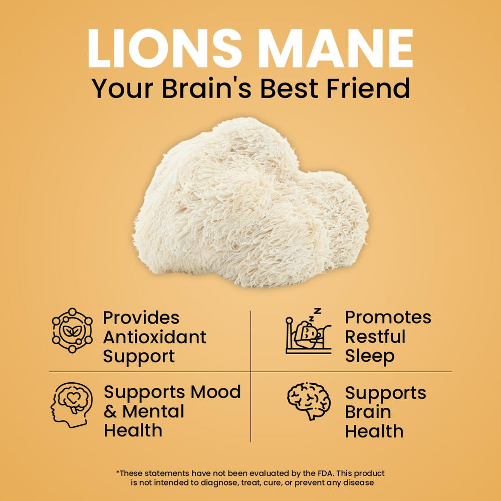 NooMost Lions Mane ingredients view emphasizing purity and polyphenol-rich extract.