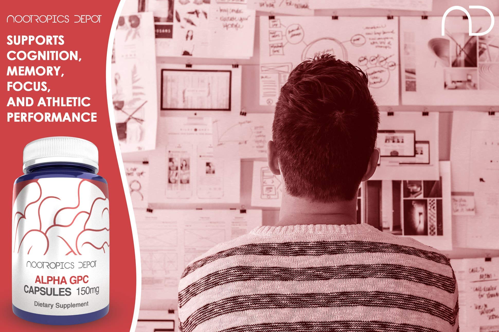Nootropics Depot Alpha GPC capsules in use for study and work focus