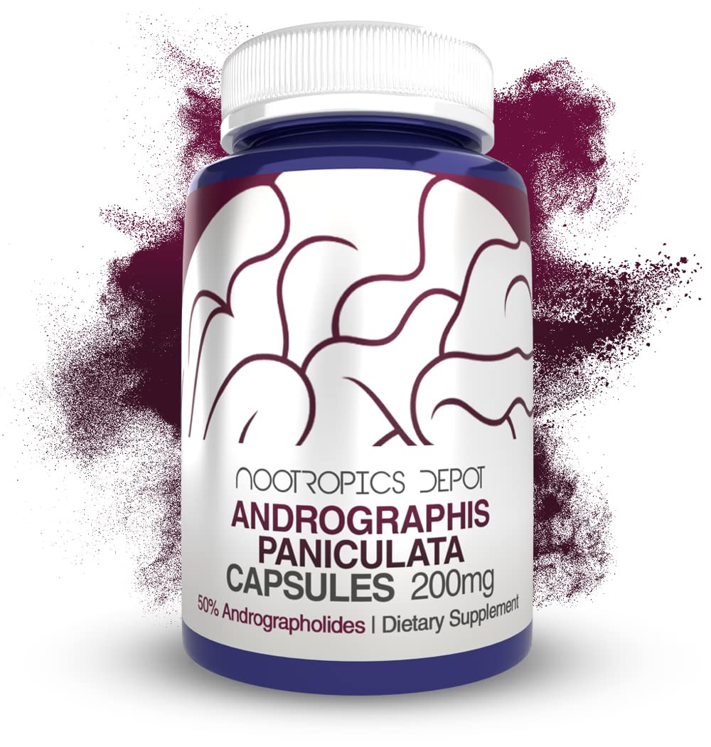 Nootropics Depot Andrographis bottle containing 60 capsules for immune support