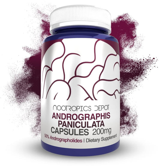 Nootropics Depot Andrographis bottle containing 60 capsules for immune support