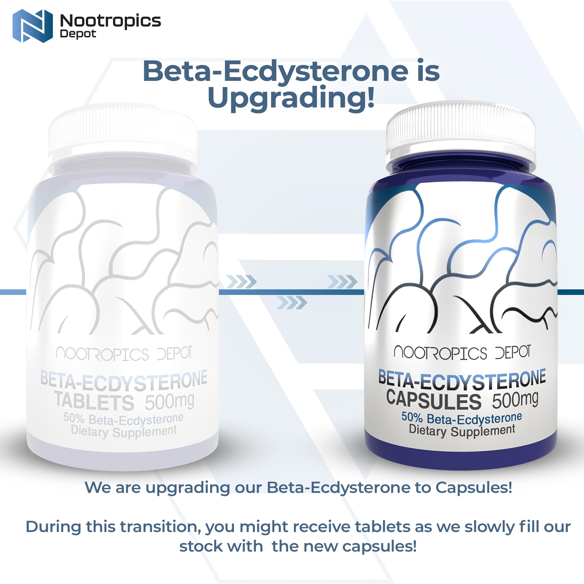 Close-up of Nootropics Depot Beta Ecdysterone 500mg tablets for easy daily dosing.