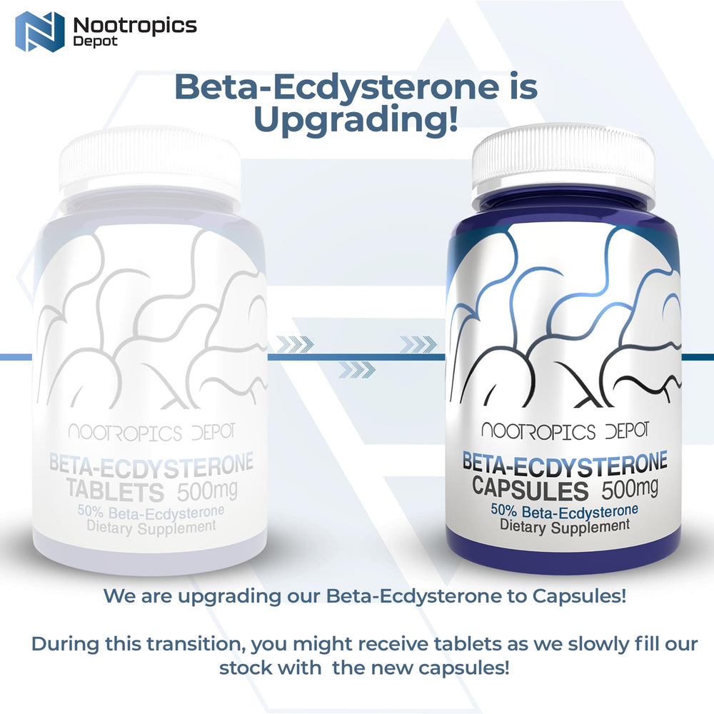 Close-up of Nootropics Depot Beta Ecdysterone 500mg tablets for easy daily dosing.