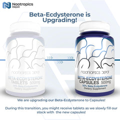 Close-up of Nootropics Depot Beta Ecdysterone 500mg tablets for easy daily dosing.