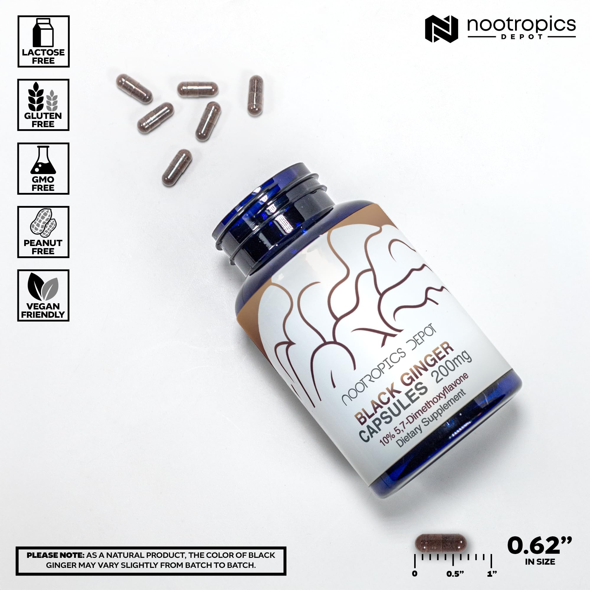 Nootropics Depot bottle side panel details standardized potency for reliable intake.