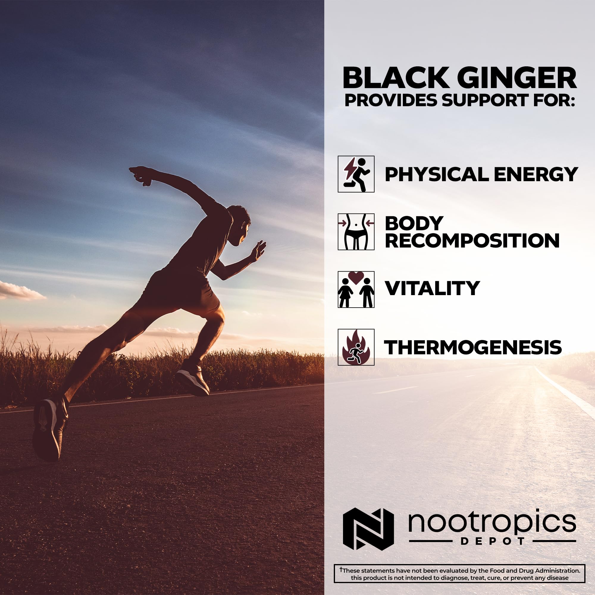 Nootropics Depot capsules closeup emphasizes uniform capsules for steady use.